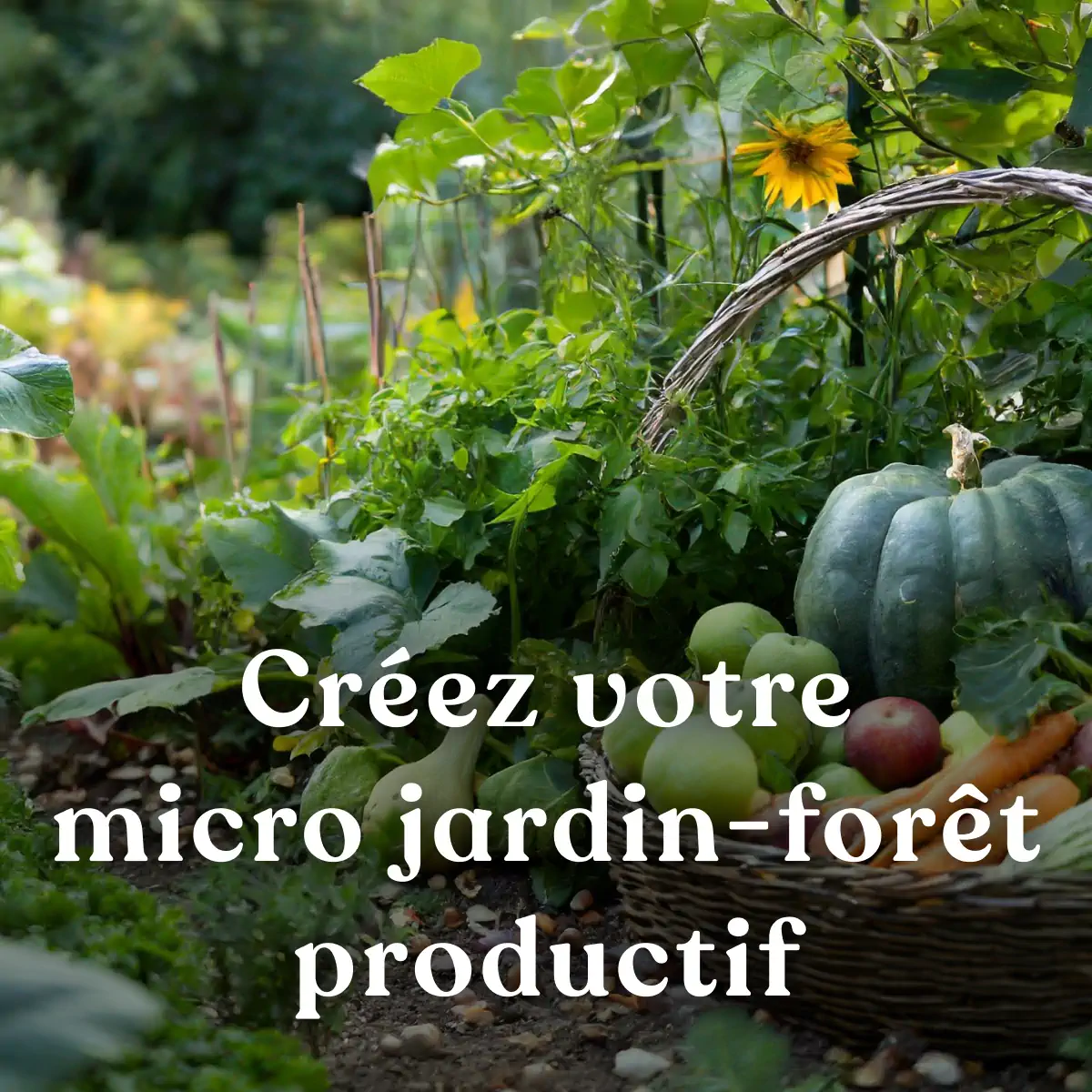 FV007 PV1 formation-permaculture-micro-jardin-foret-productif