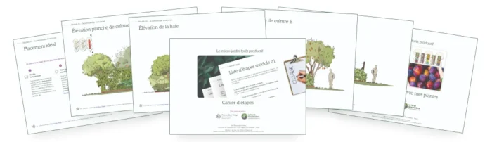 PDF Formation permaculture Le micro jardin-forêt productif