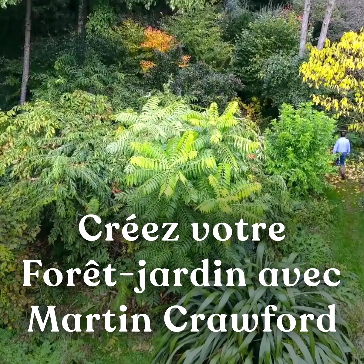 Créer et gérer une Forêt jardin avec Martin Crawford