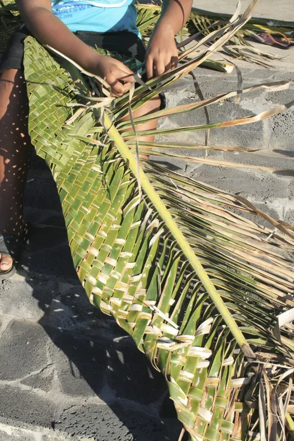 La permaculture en milieu tropical : le tressage d'une feuille de cocotier