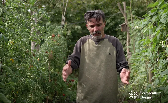 Franck Nathié dans un potager dans un jardin-forêt.