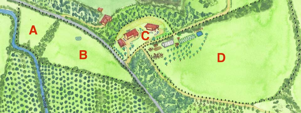 Réussir son installation de maraîchage en permaculture est avant tout une affaire de design pour éviter les erreurs.