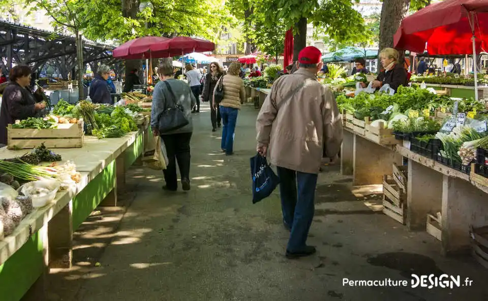 Quel type de maraîcher devenir quand on se lance dans cette activité agricole : en conventionnel, en bio ou en permaculture ?