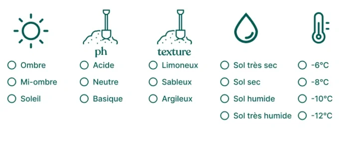 Comment choisir ses plantes pour son jardin ?