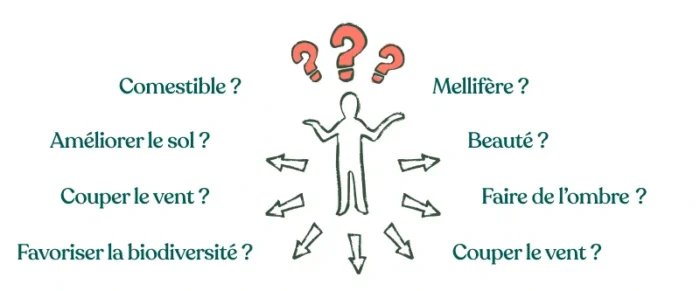 Comment choisir ses plantes pour son jardin ?